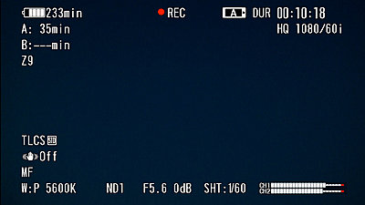 Special Request: Need a screengrab of EVF/LCD info of EX1R-screen-shot.jpg