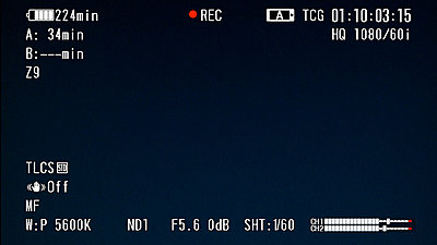 Special Request: Need a screengrab of EVF/LCD info of EX1R-screen-shot2.jpg