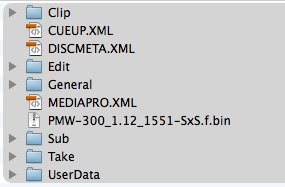 PMW300 Firmware Upgrade-sxs-card.tiff