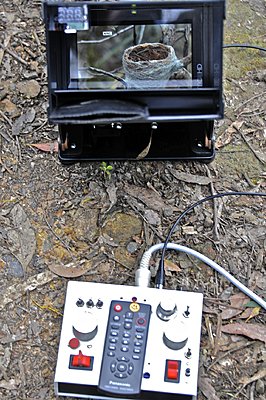 remote trigger for EX3-_dsc8988.jpg