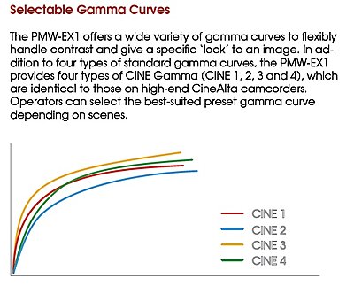 CineGama curves-cinegama.jpg