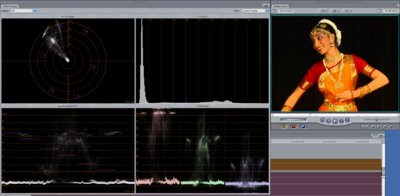 Skin tones clip early on EX1?-red-channel-clip.tiff