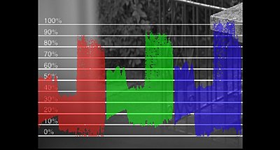 Skin tones clip early on EX1?-4300k.jpg