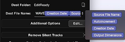 FS5 - Converting XAVC Files - Edit Ready or Catalyst Browse-screen-shot-2016-02-03-11.14.40.jpg