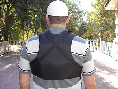 Indicam review continued-vest4web.jpg