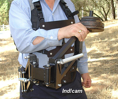 Indicam review continued-dual-spring-arm-web.jpg