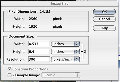 Photoshop Elements (Mac) question-example.jpg