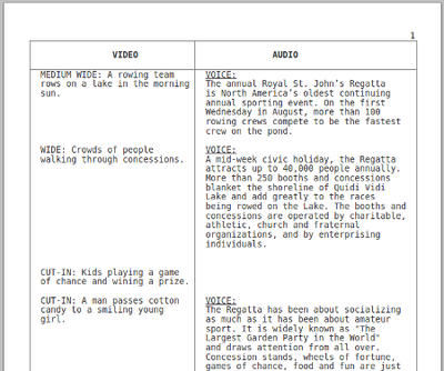 Would using a star filter for cinematography be too weird?-doublecolumnformatcetlx.png