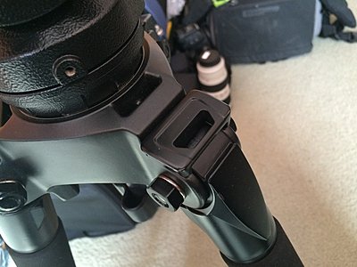 Who owns a Manfrotto 504HD Fluid Head?-04air.jpg