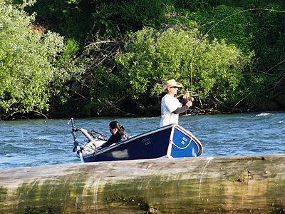 Steelhead Catch---HD Video & Photos with HX1-dsc01305.jpg