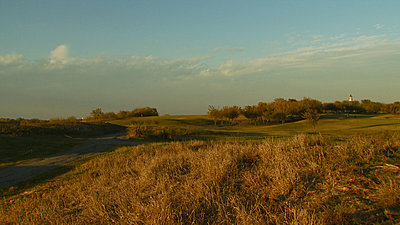Northern Harrier-golfcourse.jpg