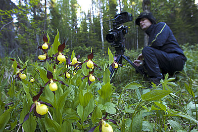 First impressions of RED One for wildlife shooting-pohjoisen-taivaan-alla-5.jpg