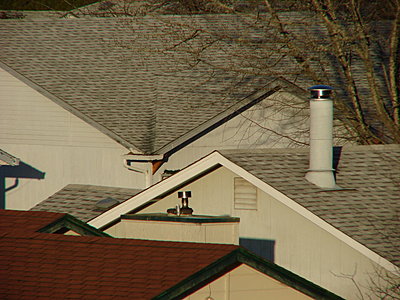 teleconverter for eagle shots with the canon xh a1-dsc00195.jpg