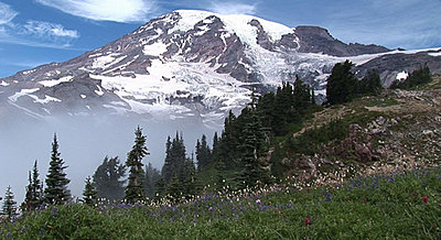 Mt Rainer-above1.jpg