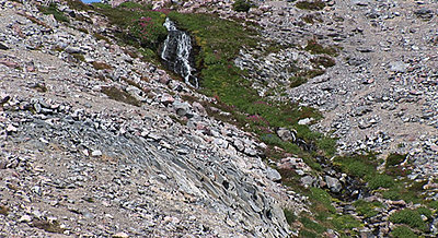 Mt Rainer-mix2.jpg