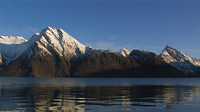 Tales of Wonder and Woe: UWOL-Long-Form 2009-mallard-fjord.jpg