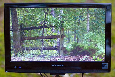 Cheap 15" HD monitor looks pretty good-dynex1.jpg