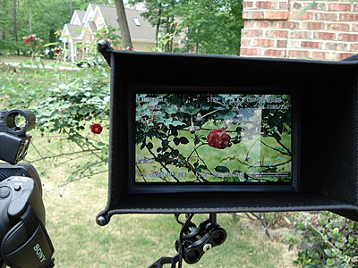 SmallHD DP1+ upgrage-dsc01255.jpg