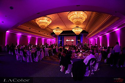 LED Uplights and GOBO for Wedding Reception-uplights2.jpg