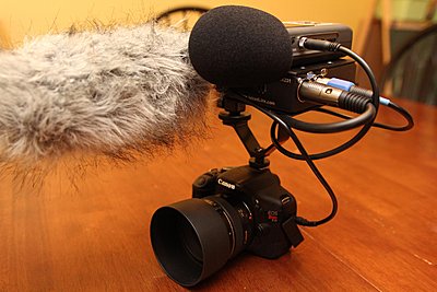 Best All-Purpose Mic for Receptions?-img_0425.jpg