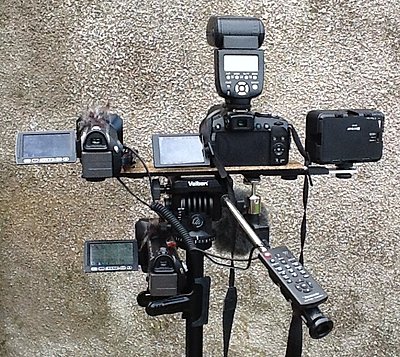 Mounting 2 cameras on one tripod-image.jpg