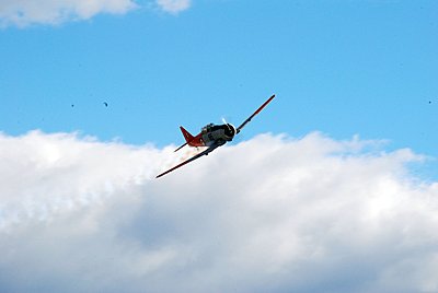 Warbirds over Wanaka - Post Mortem-dsc_08990005.jpg