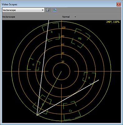 Color Correction!  Is there a basic foundation?-vectorscope.jpg