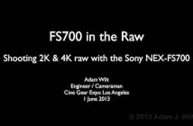 Sony NEX-FS700 in the Raw
