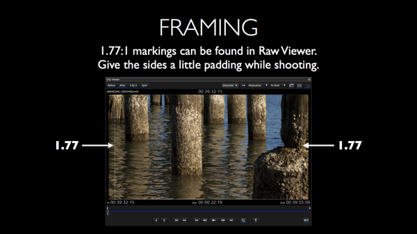 CIneGear 2013 Art v4a 015