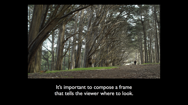 CIneGear 2013 Art v4a 020