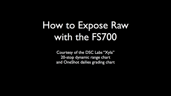 CIneGear 2013 Art v4a 023