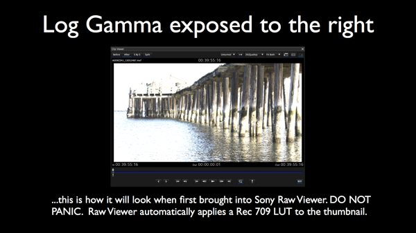 CIneGear 2013 Art v4a 033