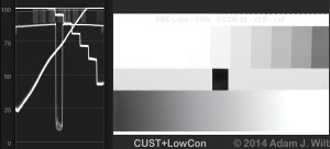 CCDM-CUST-LOWCON4