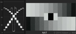 CDMn3Nat