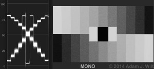 CDMn4Mono