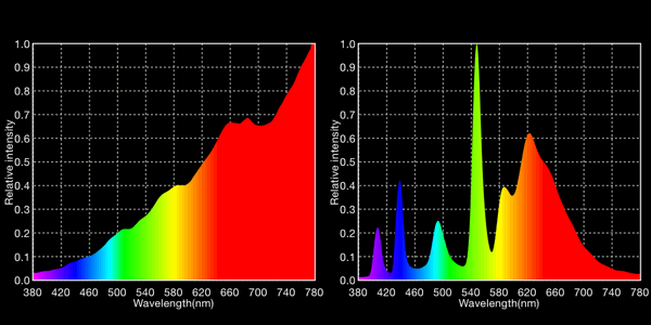 2720K tungsten lamp vs. 2959K Kino-Flo fluorescent lamp