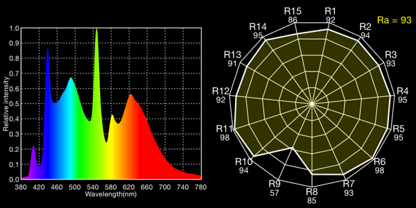 Kino-Flo 5600K tubes, 6530K measured (this time, not all times!)