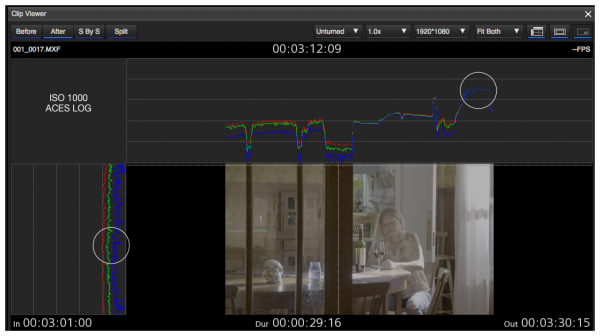 FS7 ISO 1000 ACES scopes